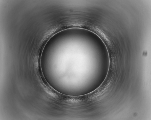 X0000099530537200805161214