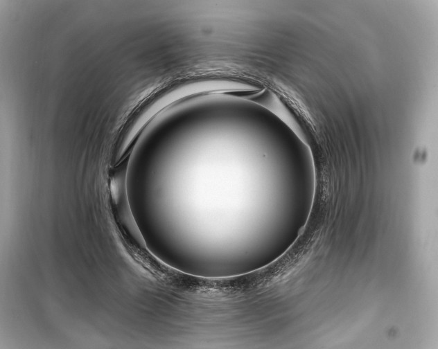 X0000099530538200805161214