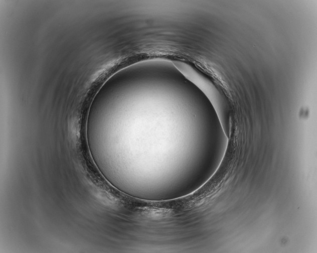 X0000099530539200805161214