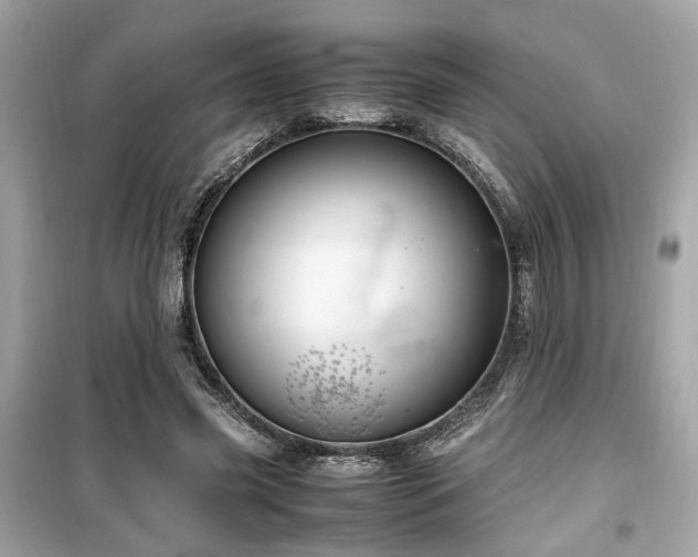 X0000099530541200805161214