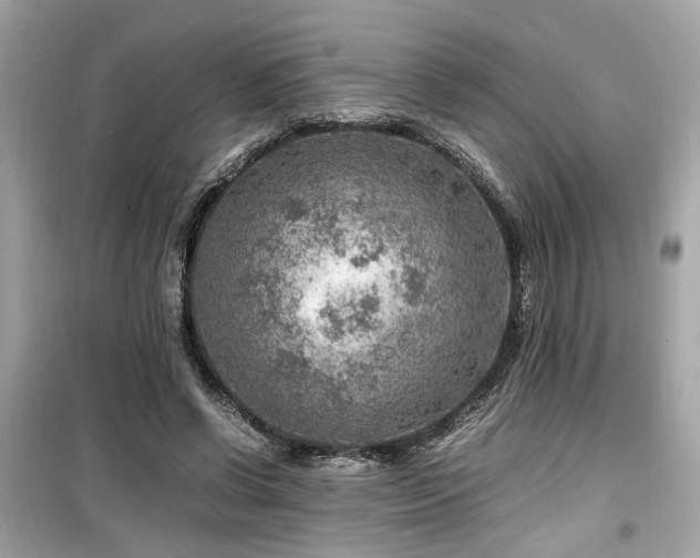 X0000099530542200805161214