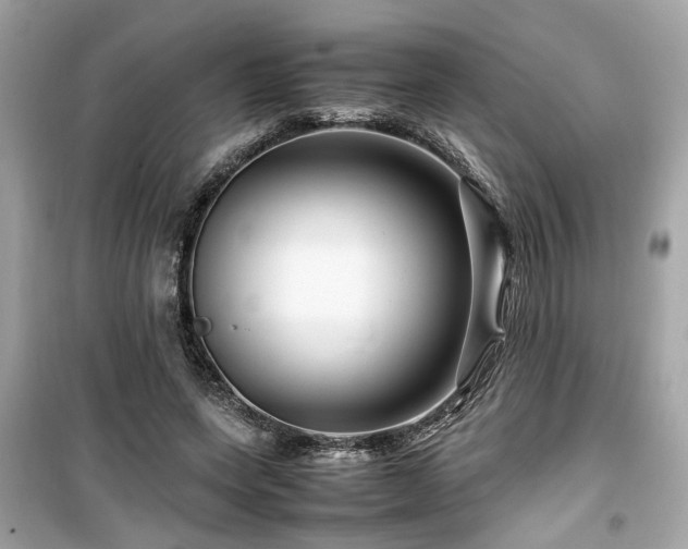 X0000099530543200805161214