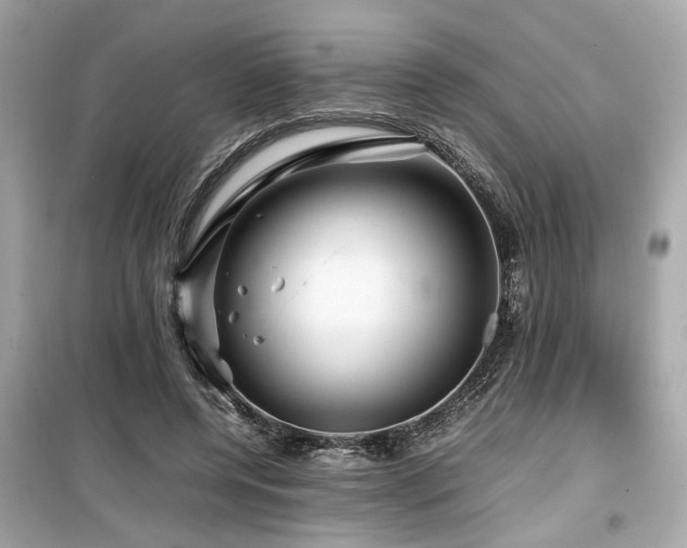 X0000099530544200805161214