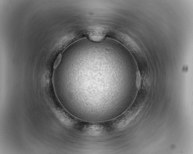 X0000099530546200805161214