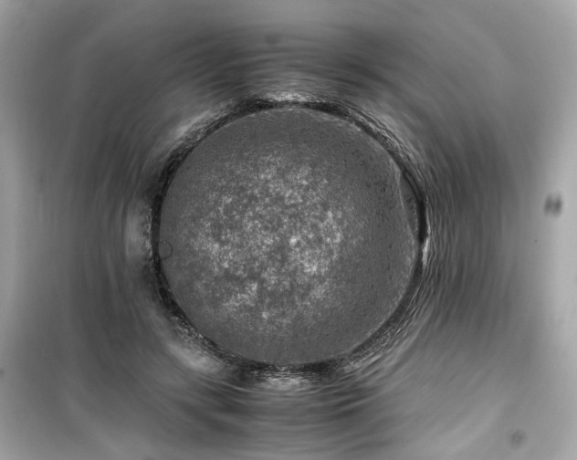 X0000099530547200805161214
