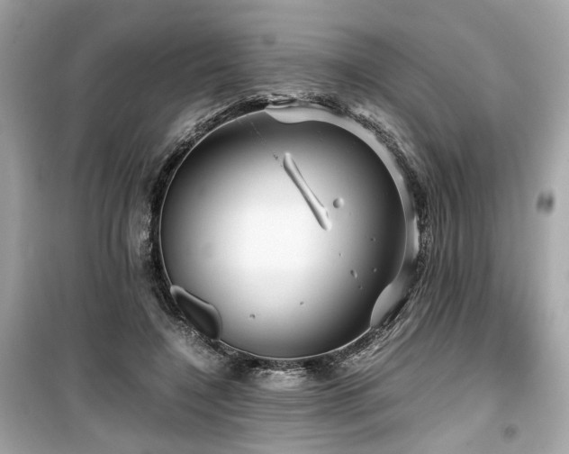 X0000099530548200805161214