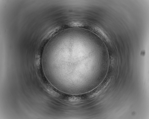 X0000099530549200805161214