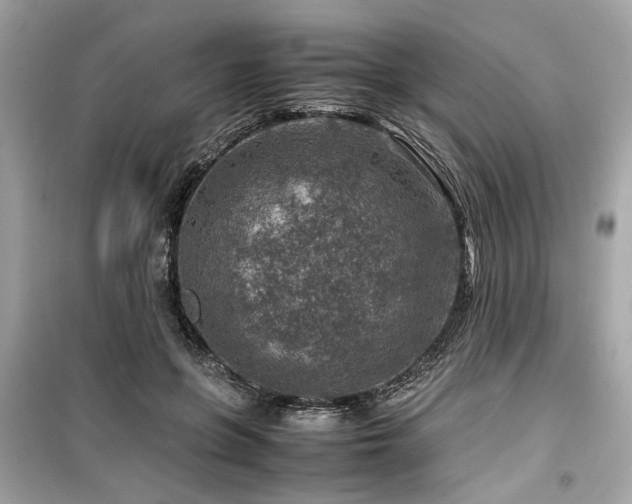 X0000099530551200805161214