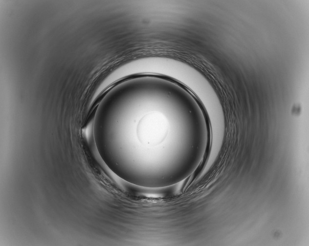 X0000099530552200805161214