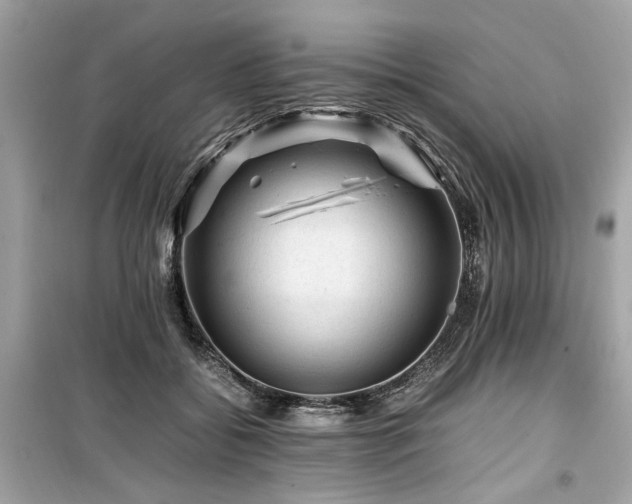 X0000099530556200805161214
