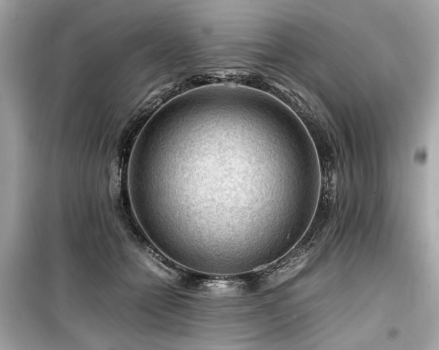 X0000099530558200805161214