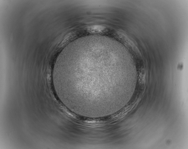 X0000099530561200805161214