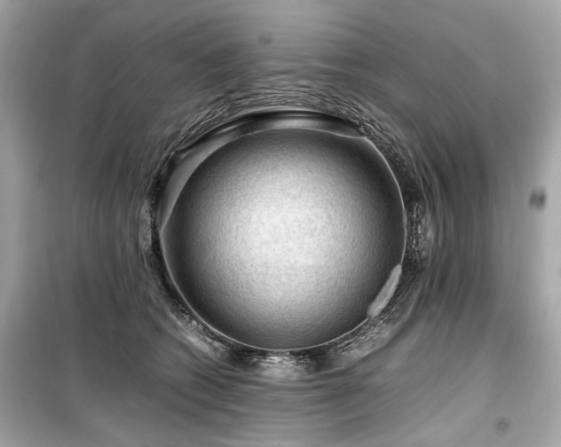 X0000099530562200805161214