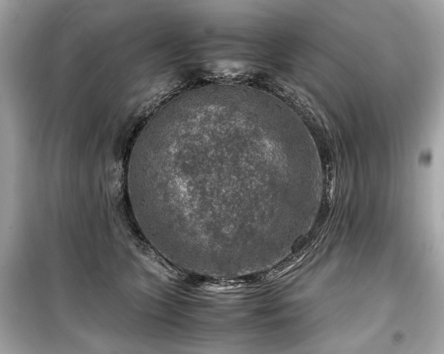 X0000099530563200805161214