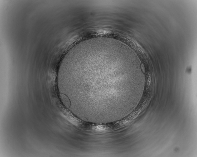 X0000099530565200805161214