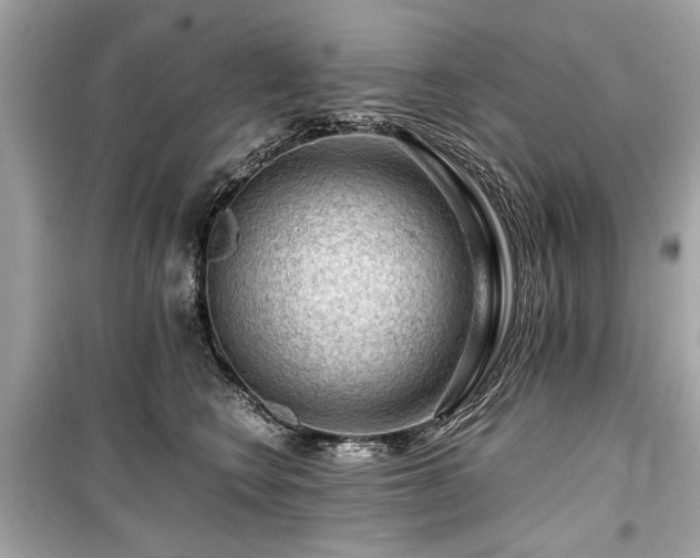 X0000099530566200805161214