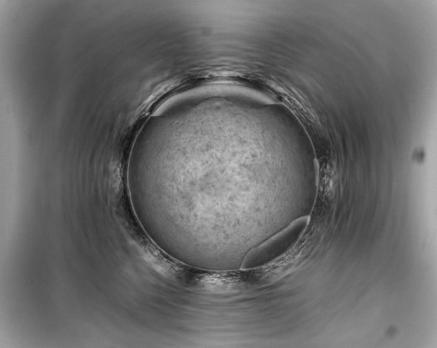 X0000099530568200805161214