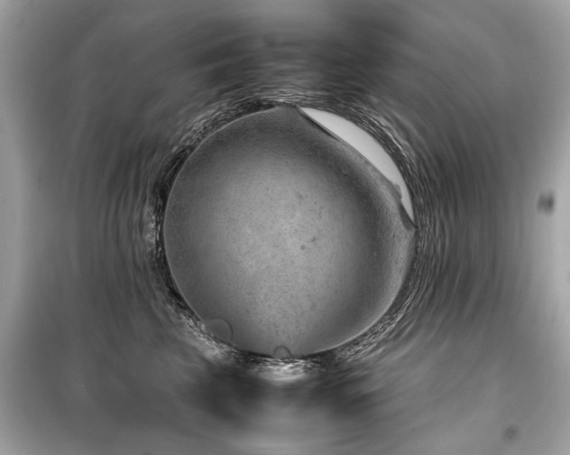 X0000099530569200805161214