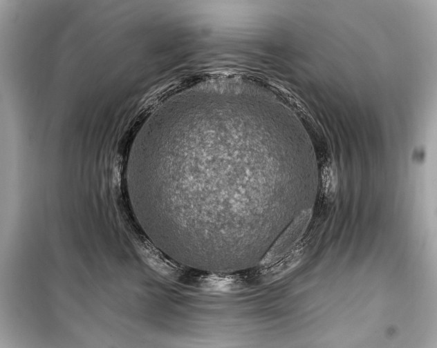 X0000099530570200805161214