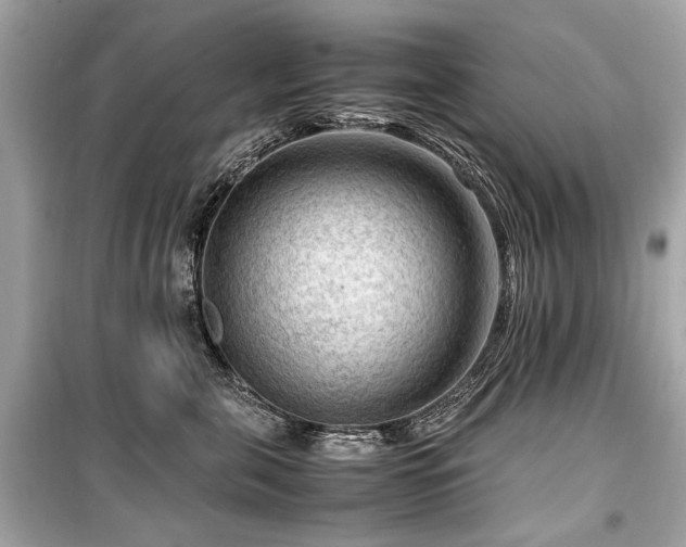 X0000099530571200805161214