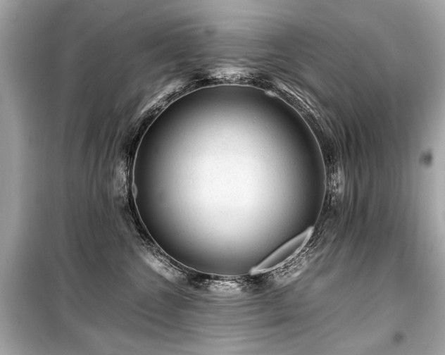 X0000099530572200805161214