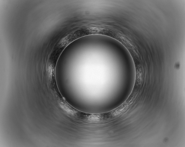 X0000099530574200805161214