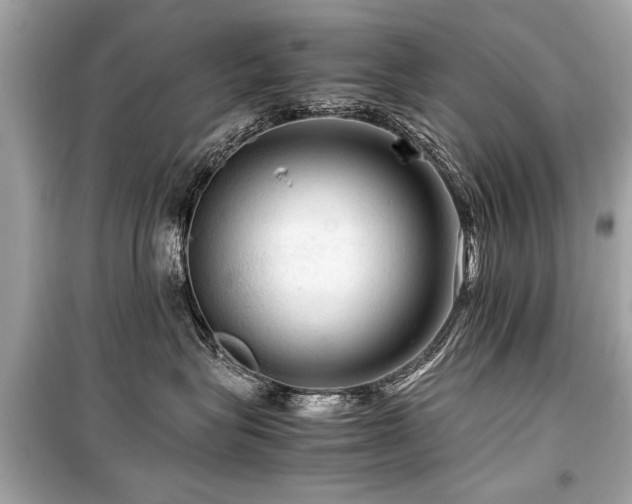 X0000099530575200805161214
