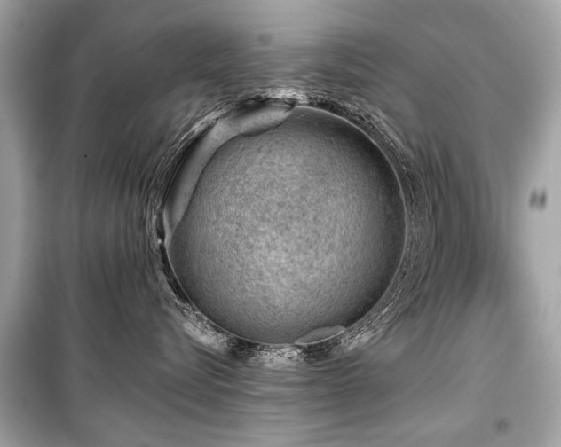X0000099530576200805161214