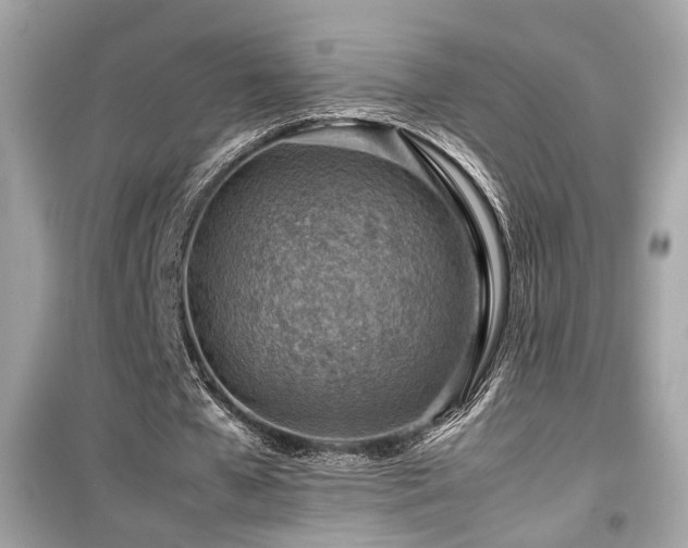 X0000099530577200805161214