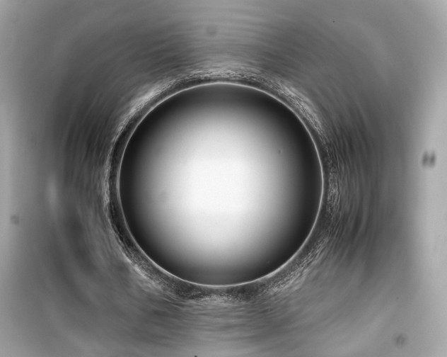 X0000099530578200805161214