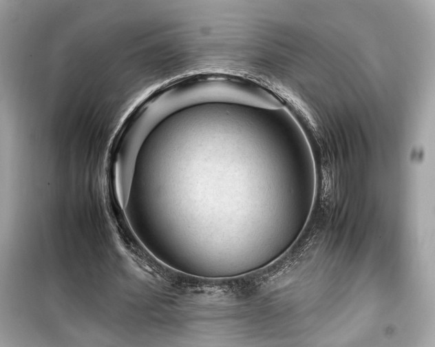 X0000099530580200805161214