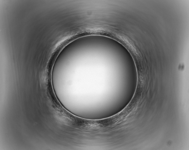 X0000099530583200805161213