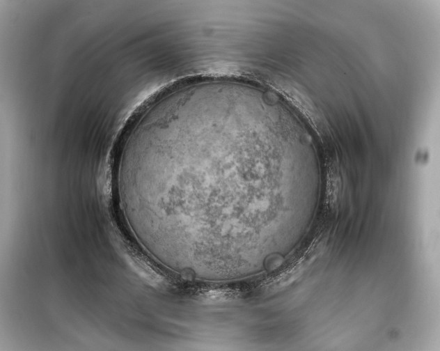 X0000099530584200805161213
