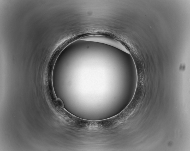 X0000099530587200805161213
