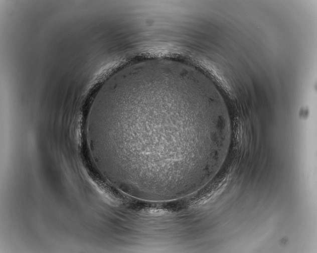 X0000099530590200805161213