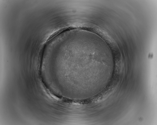 X0000099530592200805161213