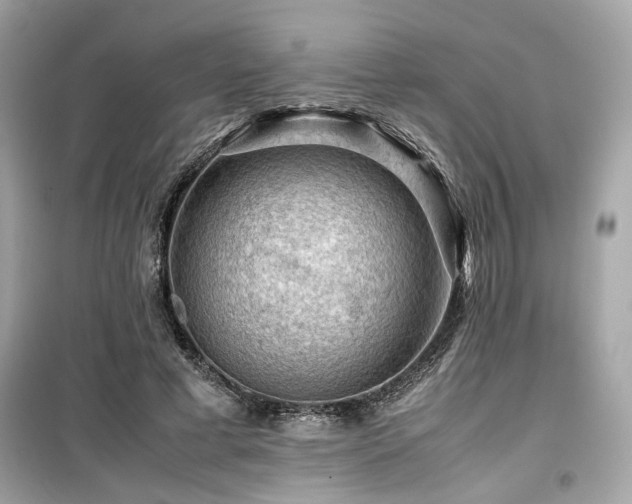 X0000099530593200805161213