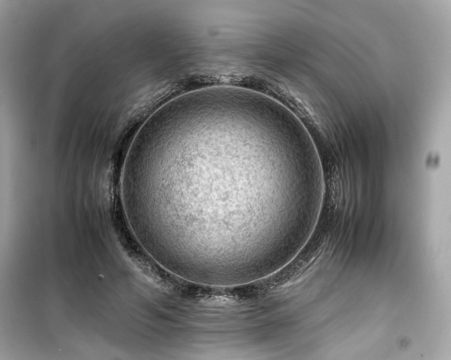 X0000099530594200805161213