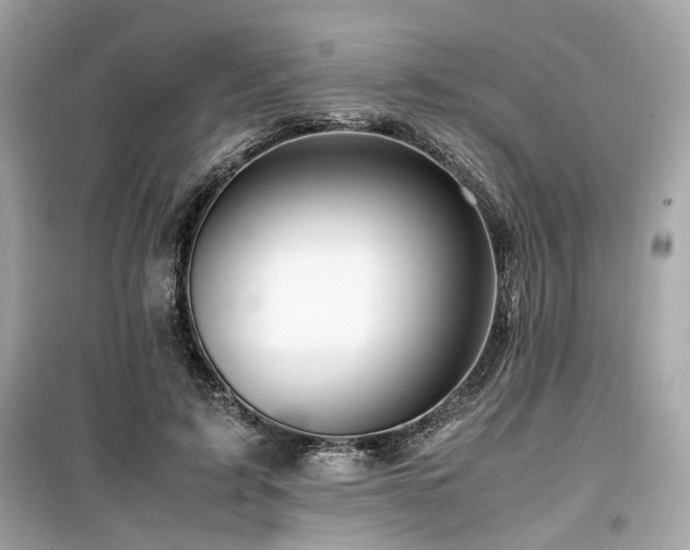X0000099530595200805161213