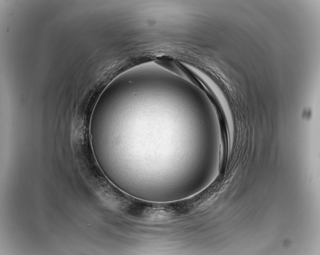X0000099530597200805161213