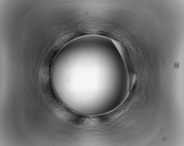 X0000099530599200805161213