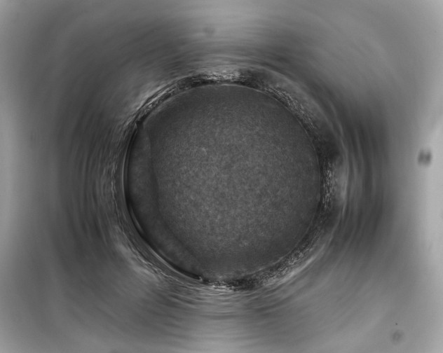 X0000099530600200805161213