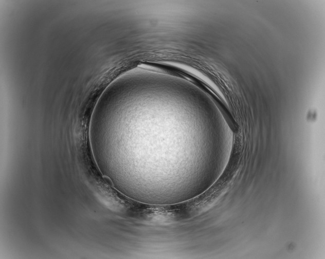 X0000099530601200805161213