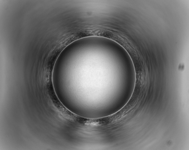 X0000099530602200805161213