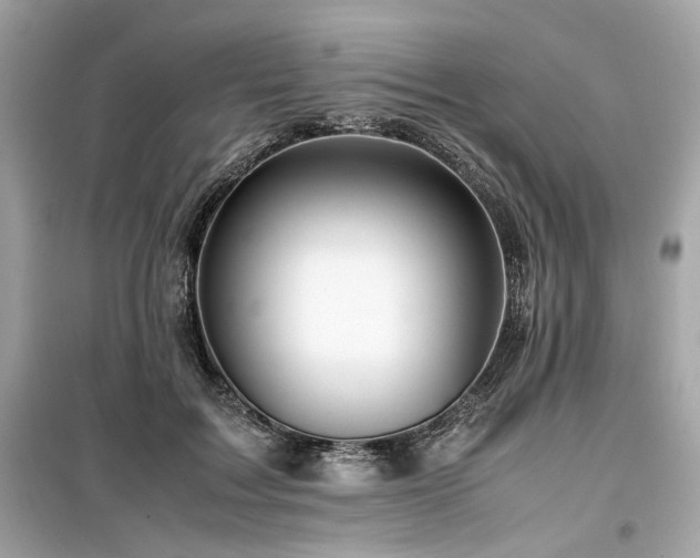 X0000099530603200805161213