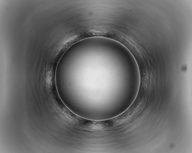 X0000099530604200805161213