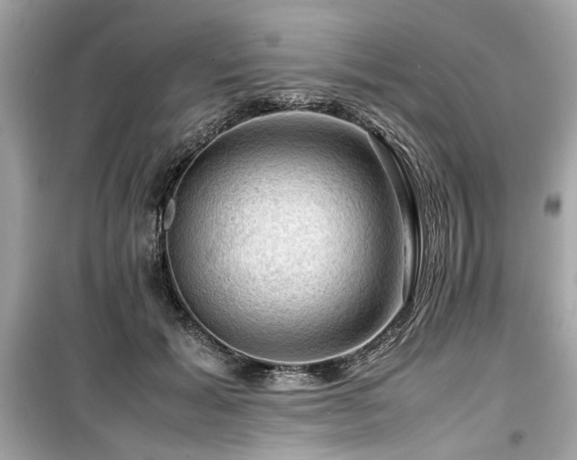 X0000099530605200805161213