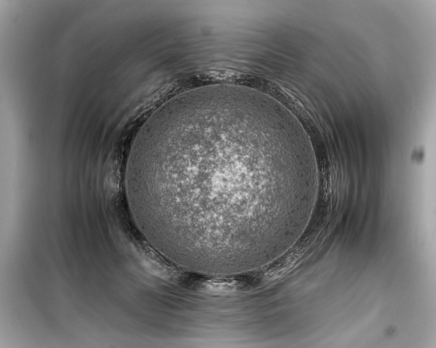 X0000099530606200805161213