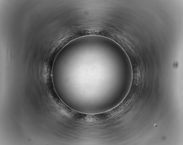 X0000099530608200805161213