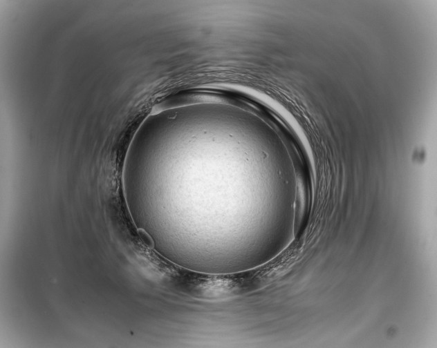 X0000099530609200805161213